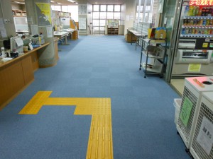 DSCN3137